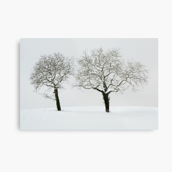 Metal Print