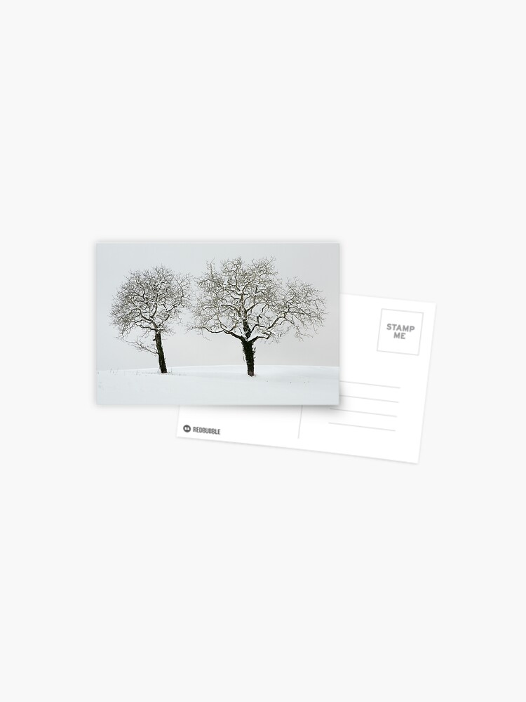 Thumbnail 1 of 2, Postcard, Two trees in the snow designed and sold by patmo.