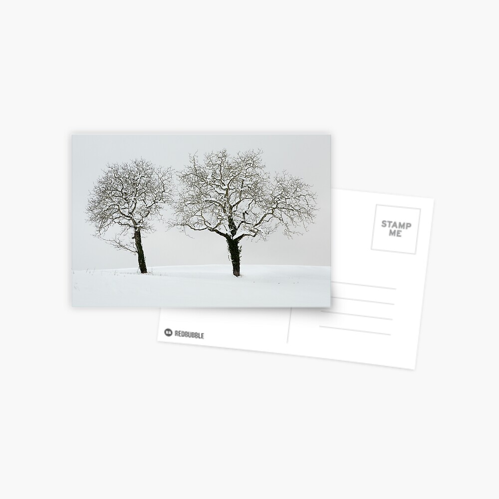 Item preview, Postcard designed and sold by patmo.
