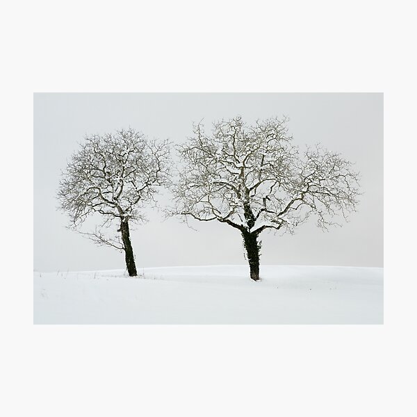 Photographic Print
