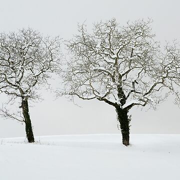 Artwork thumbnail, Two trees in the snow by Patrick Morand