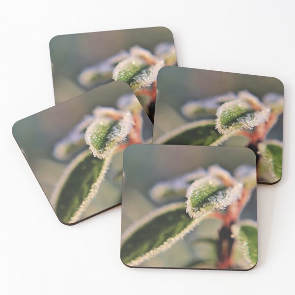 Item preview, November Frost II designed and sold by Kathleen Daley.
