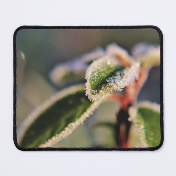Item preview, November Frost II designed and sold by Kathleen Daley.