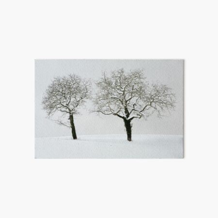 Art Board Print