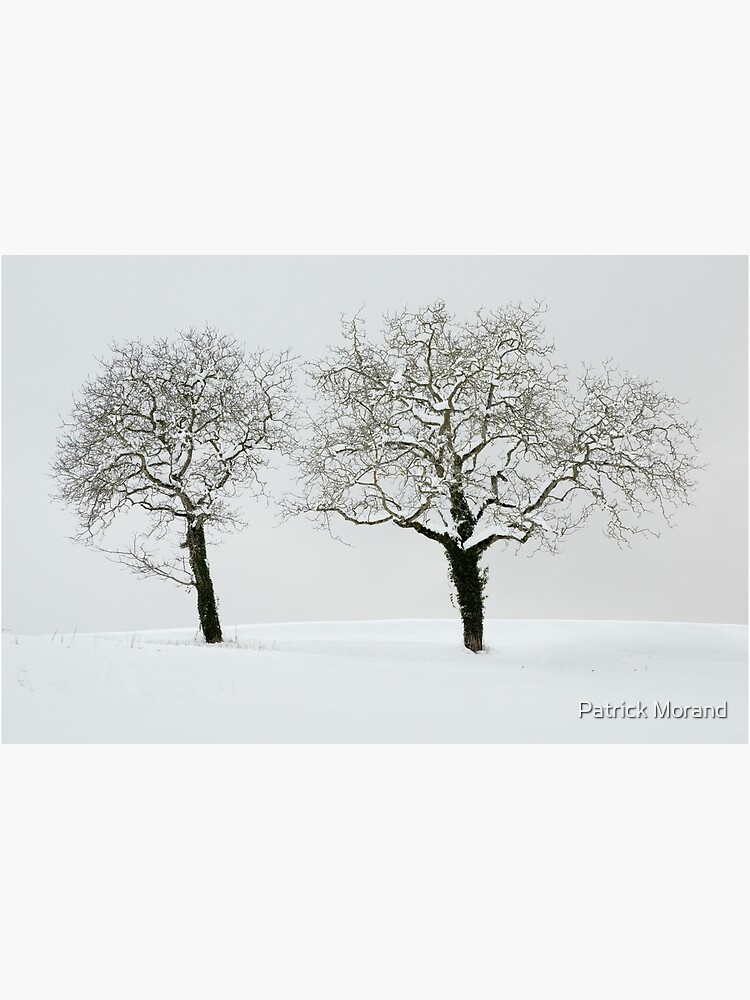 Thumbnail 2 of 2, Laptop Skin, Two trees in the snow designed and sold by patmo.