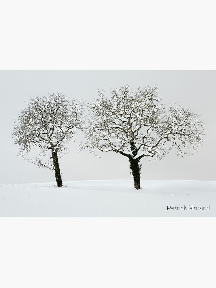 Thumbnail 3 of 3, Journal, Two trees in the snow designed and sold by patmo.