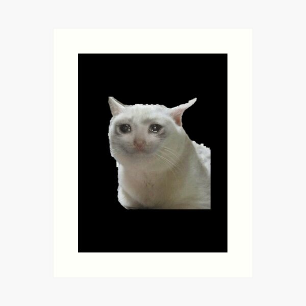 Impressions Artistiques Sur Le Theme Meme Chat Qui Pleure Redbubble