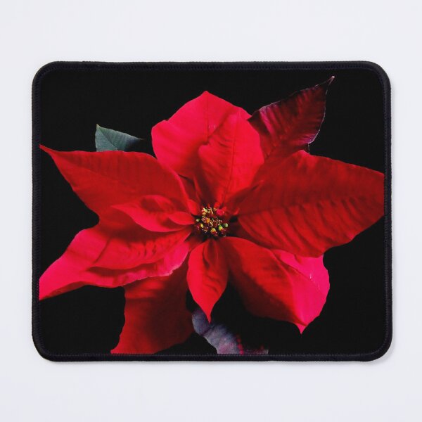 Item preview, Poinsettia designed and sold by GemaIbarra.