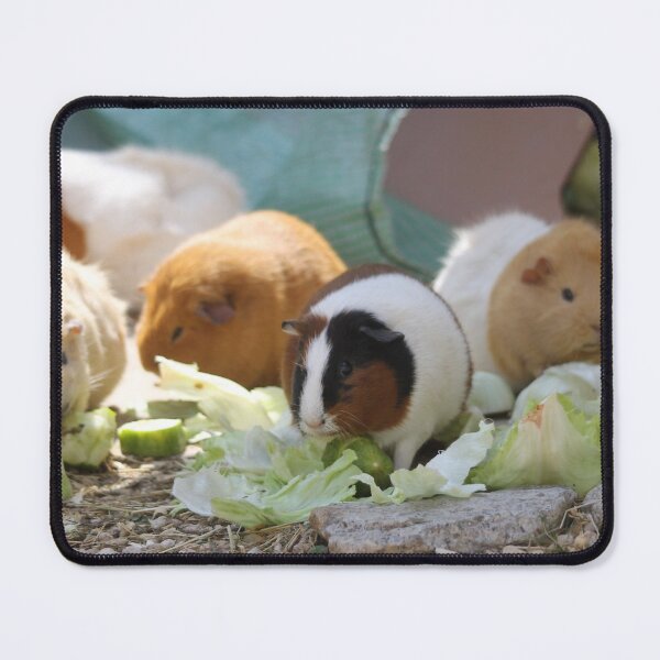 Item preview, Pig Snack designed and sold by Writtenbytues.