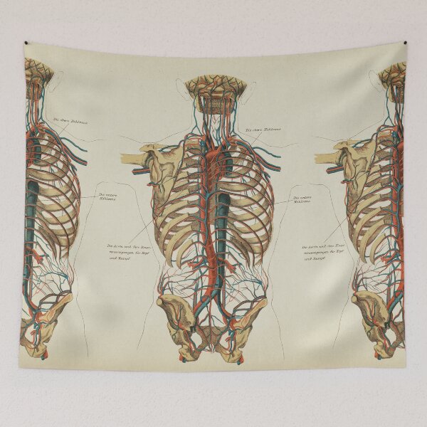Item preview, Vintage Anatomy, Circulatory System designed and sold by LeAllureVintage.