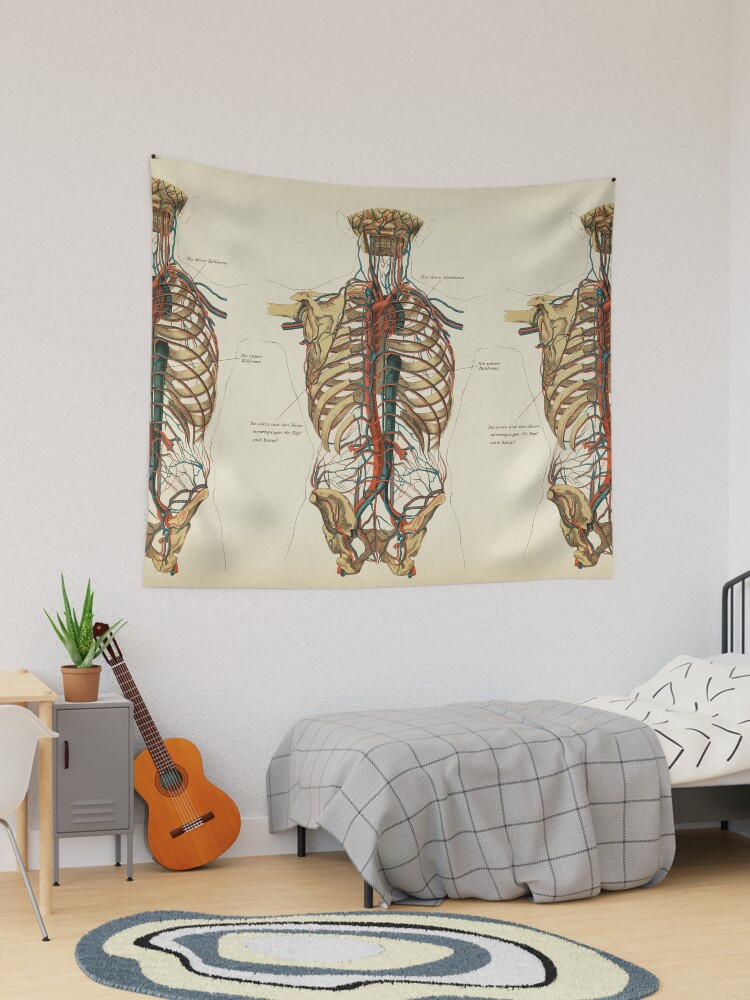 Anatomy tapestry hot sale