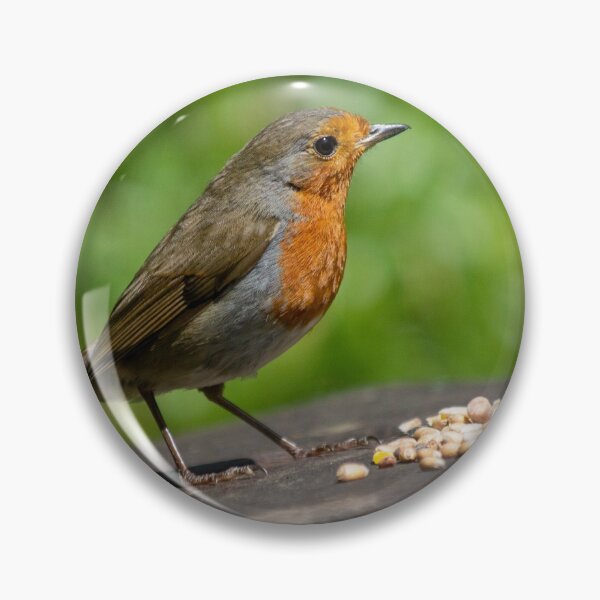 Item preview, Hungry Robin designed and sold by Writtenbytues.