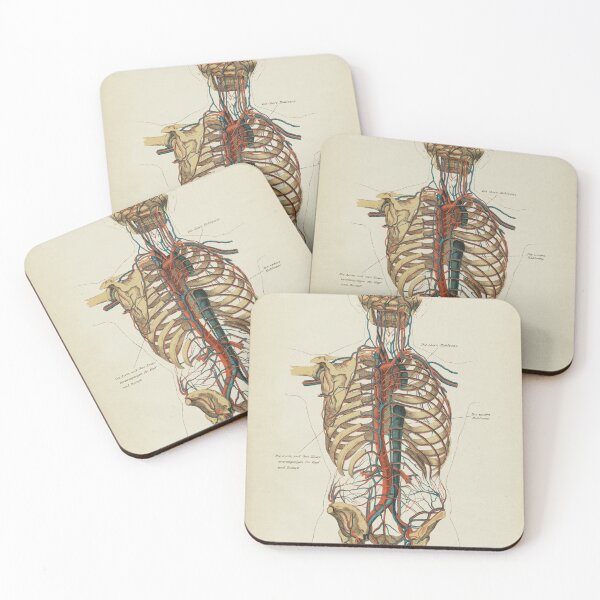 Item preview, Vintage Anatomy, Circulatory System designed and sold by LeAllureVintage.