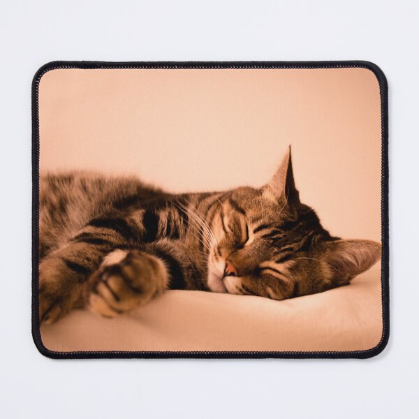 Item preview, Tabby cat sleeping designed and sold by GemaIbarra.
