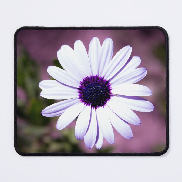 Item preview, White Daisy with purple center designed and sold by GemaIbarra.
