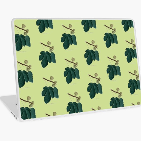 Item preview, Vintage Botanical Fig Plant Illustration designed and sold by Naturalist Prints.