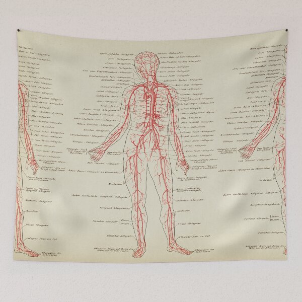 Item preview, Vintage Anatomy, Veins, Circulatory System designed and sold by LeAllureVintage.