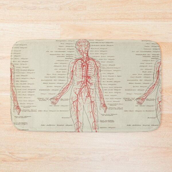 Item preview, Vintage Anatomy, Veins, Circulatory System designed and sold by LeAllureVintage.