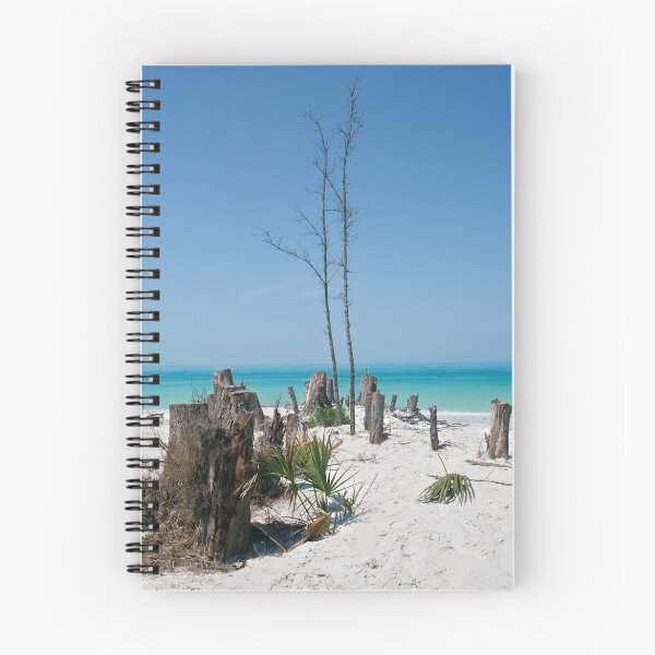 Item preview, Fort DeSoto on the Gulf designed and sold by SpikeFlutie.