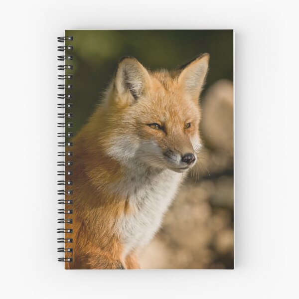 Item preview, Red Fox designed and sold by Fox-Images.