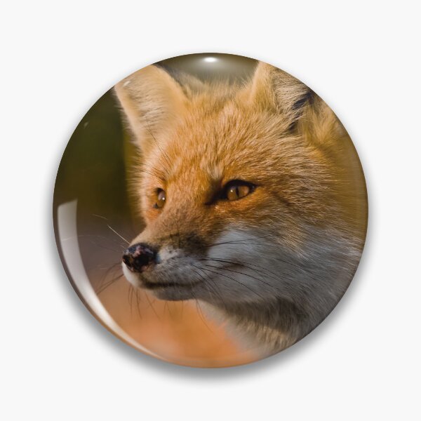 Item preview, Red Fox designed and sold by Fox-Images.