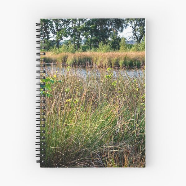 Item preview, Beautiful landscape with pond designed and sold by Photopat.