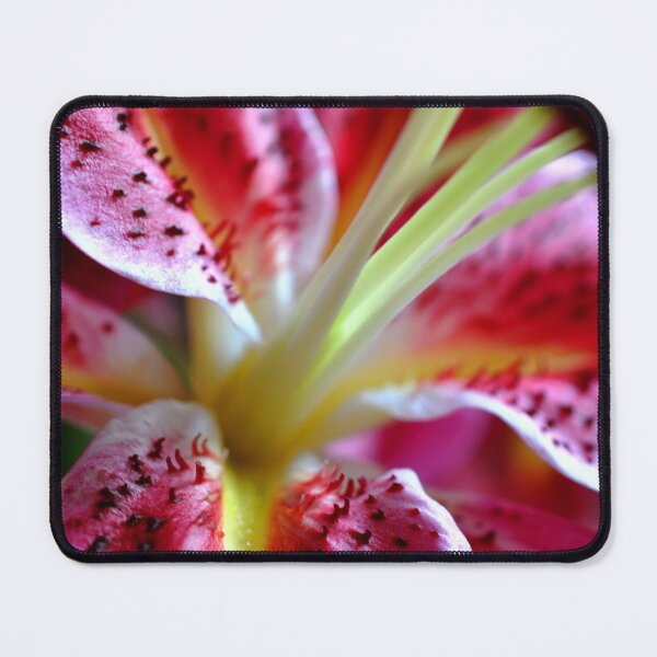 Item preview, Pink Lily Lilium Herbaceous Flowering Plants designed and sold by AndyEvansPhotos.