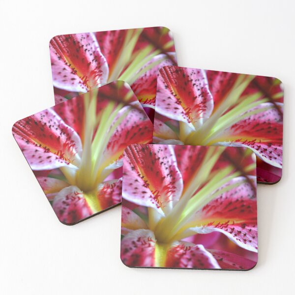 Item preview, Pink Lily Lilium Herbaceous Flowering Plants designed and sold by AndyEvansPhotos.