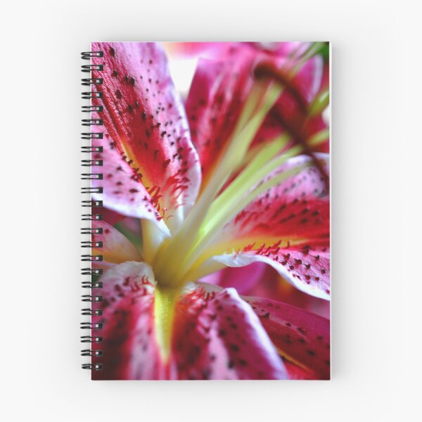 Item preview, Pink Lily Lilium Herbaceous Flowering Plants designed and sold by AndyEvansPhotos.