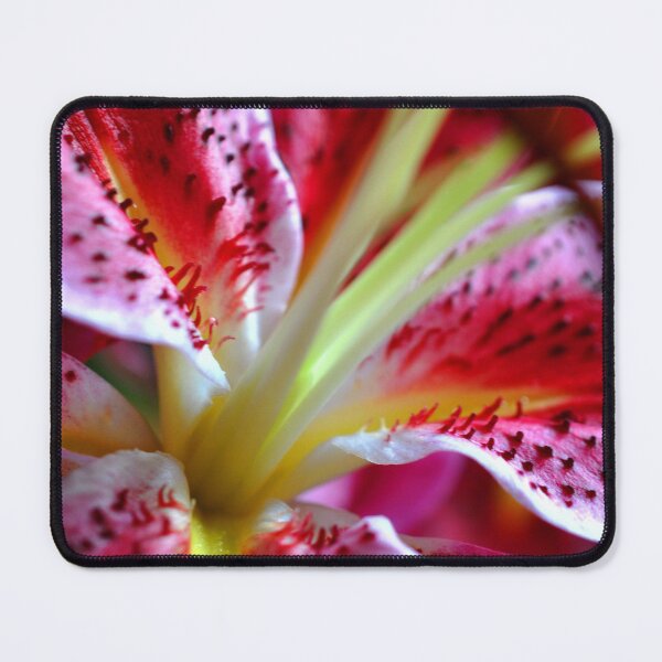 Item preview, Pink Lily Lilium Herbaceous Flowering Plants designed and sold by AndyEvansPhotos.