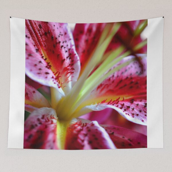 Item preview, Pink Lily Lilium Herbaceous Flowering Plants designed and sold by AndyEvansPhotos.