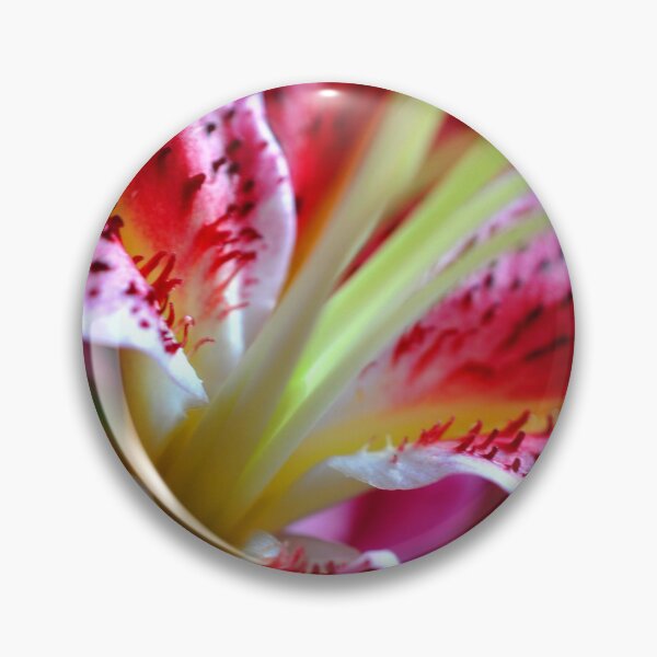 Item preview, Pink Lily Lilium Herbaceous Flowering Plants designed and sold by AndyEvansPhotos.