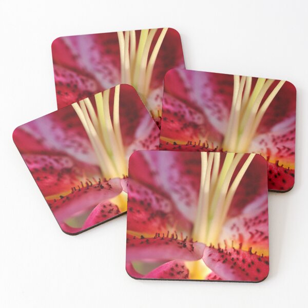 Item preview, Pink Lily Lilium Herbaceous Flowering Plants designed and sold by AndyEvansPhotos.