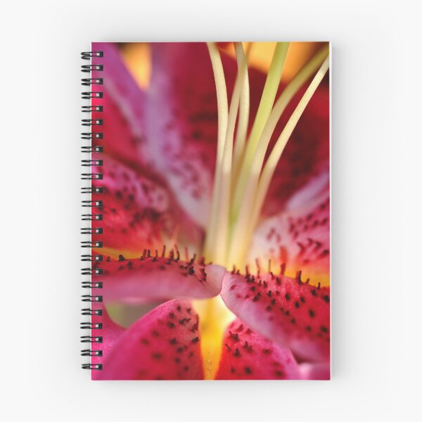 Item preview, Pink Lily Lilium Herbaceous Flowering Plants designed and sold by AndyEvansPhotos.
