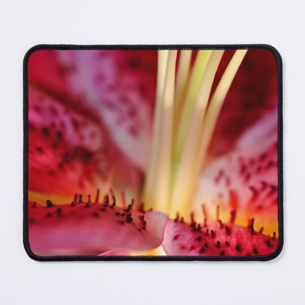 Item preview, Pink Lily Lilium Herbaceous Flowering Plants designed and sold by AndyEvansPhotos.