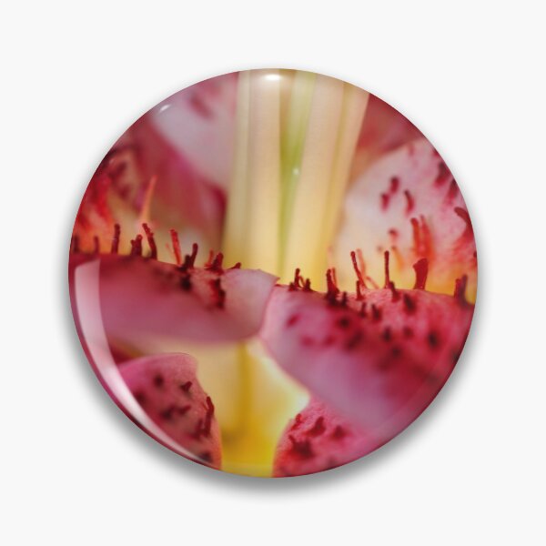 Item preview, Pink Lily Lilium Herbaceous Flowering Plants designed and sold by AndyEvansPhotos.