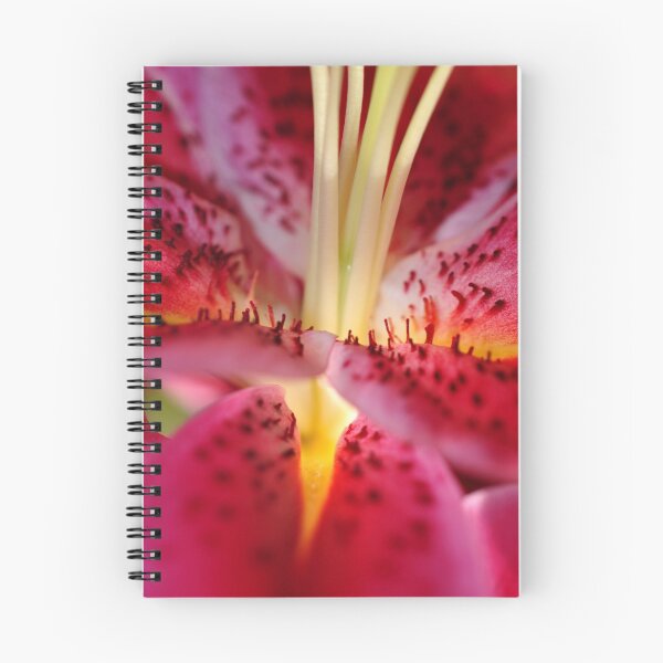 Item preview, Pink Lily Lilium Herbaceous Flowering Plants designed and sold by AndyEvansPhotos.