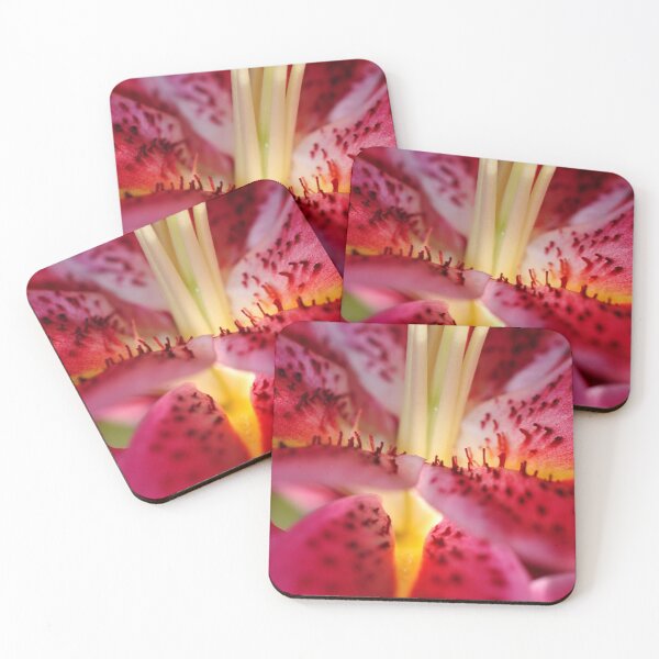 Item preview, Pink Lily Lilium Herbaceous Flowering Plants designed and sold by AndyEvansPhotos.