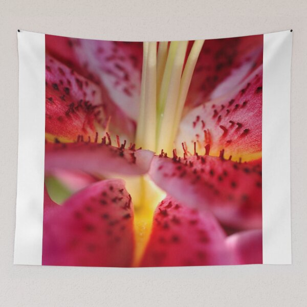 Item preview, Pink Lily Lilium Herbaceous Flowering Plants designed and sold by AndyEvansPhotos.