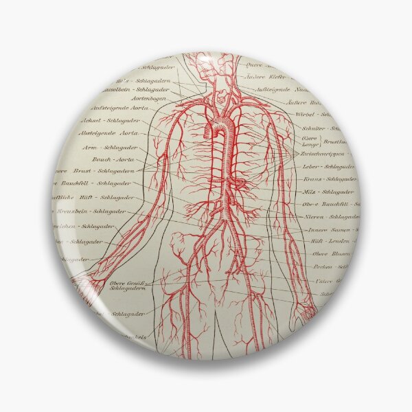 Item preview, Vintage Anatomy, Veins, Circulatory System designed and sold by LeAllureVintage.