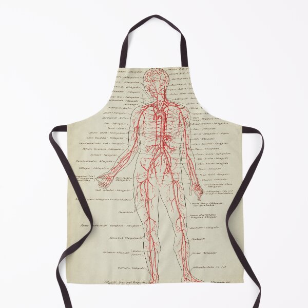 Item preview, Vintage Anatomy, Veins, Circulatory System designed and sold by LeAllureVintage.