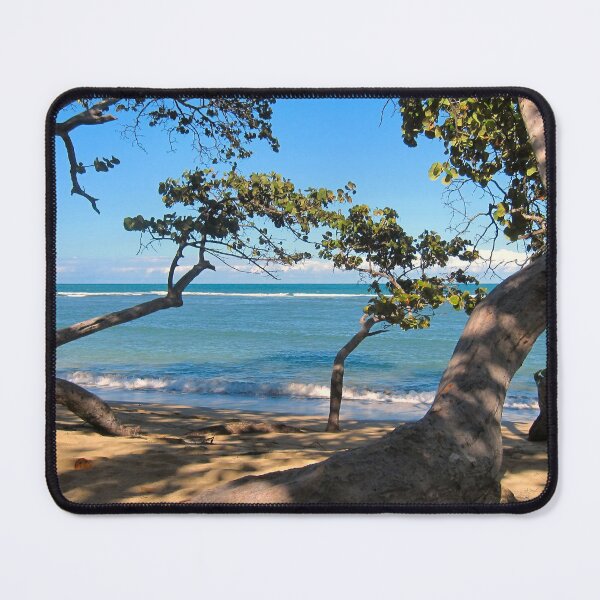 Item preview, Trees on the beach. designed and sold by ronsaunders47.