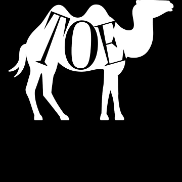 Vorschaubild zum Design Camel Toe Inappropriate Humor Adult Humor Camel Toe Gear von DynamicDesign