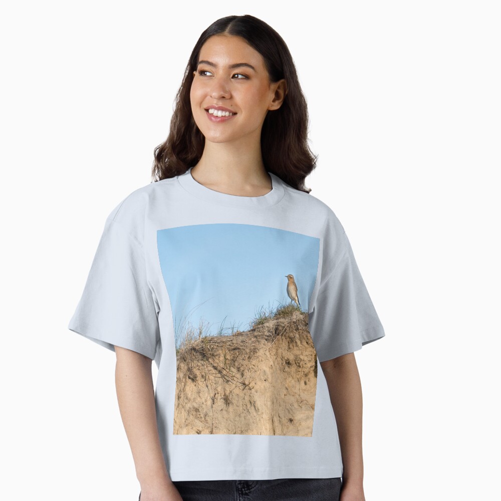 Item preview, Boxy T-Shirt designed and sold by steppeland.