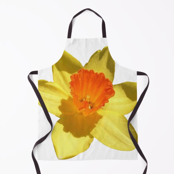 Item preview, Daffodil Emblem Isolated On White designed and sold by taiche.