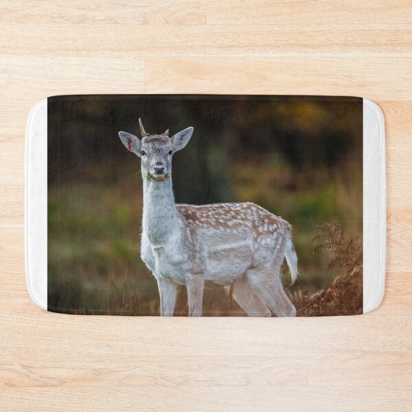 Item preview, Fallow Deer, Richmond Park, London designed and sold by Graham Prentice.