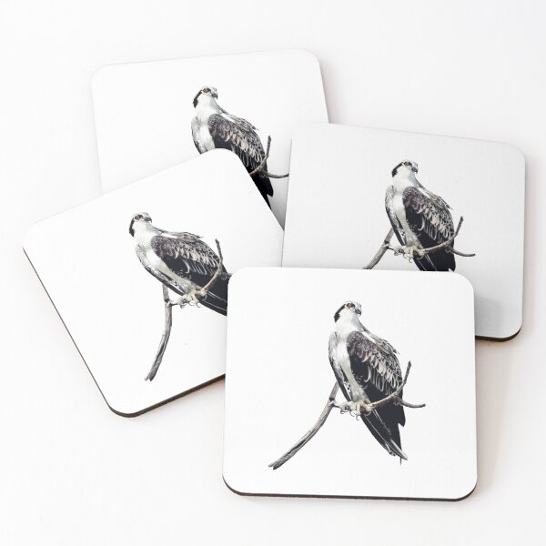 Item preview, Osprey designed and sold by Wondersofwhimsy.