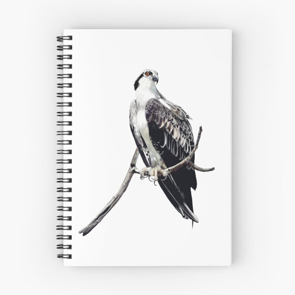 Item preview, Osprey designed and sold by Wondersofwhimsy.