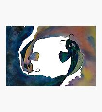 The Balance Photographic Print