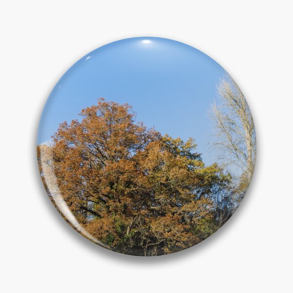 Item preview, Autumnal Trees on a Sunny Day designed and sold by Graham Prentice.